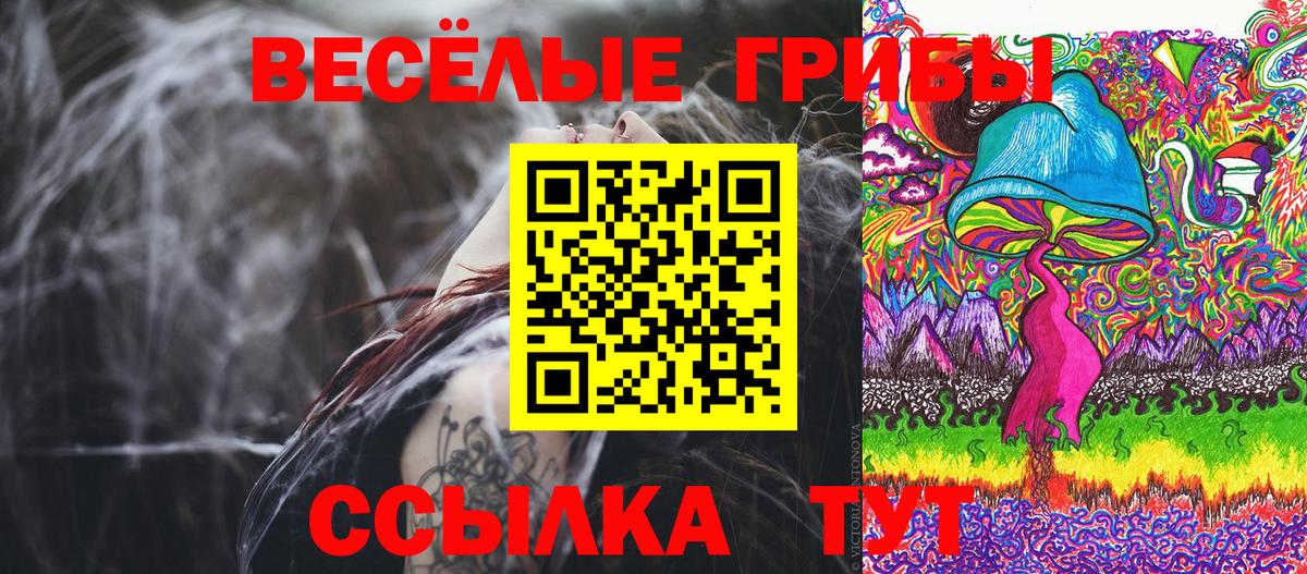Псилоцибиновые грибы прущие грибы  Вход с VPN  купить наркотики сайты  Белореченск 