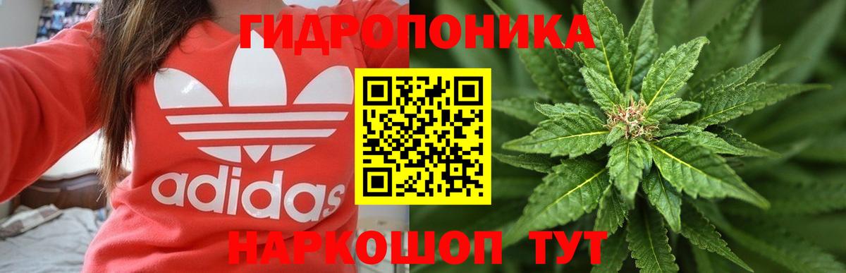 Бошки марихуана LSD WEED  Марихуана ГИДРОПОН  Конопля OG Kush  Вход с VPN  Белореченск  Бошки марихуана конопля 